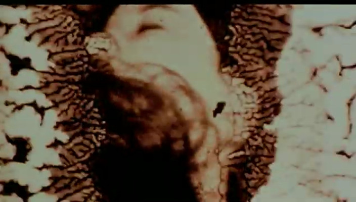 赤裸裸剧照的剧照