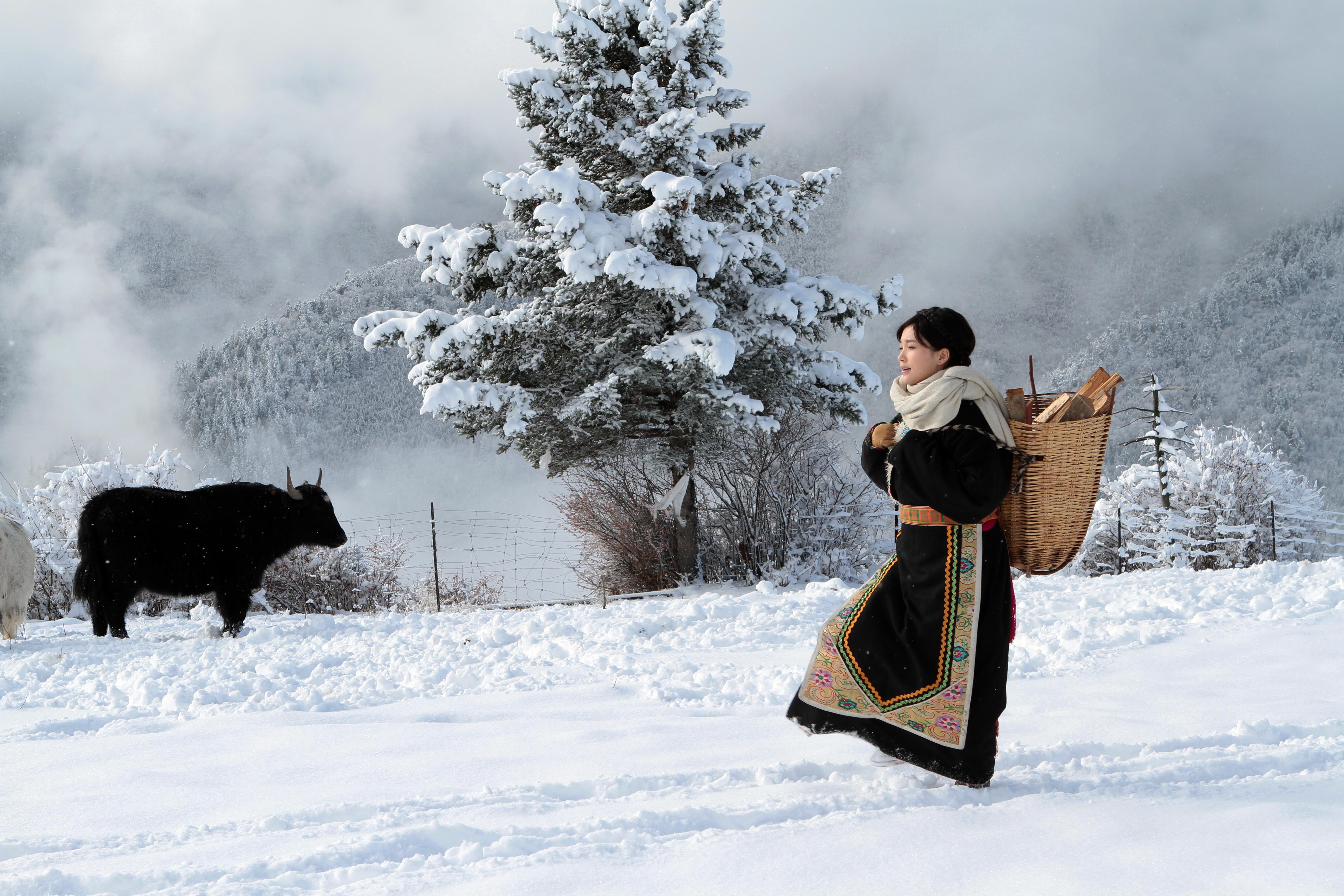 柠檬剧照的剧照