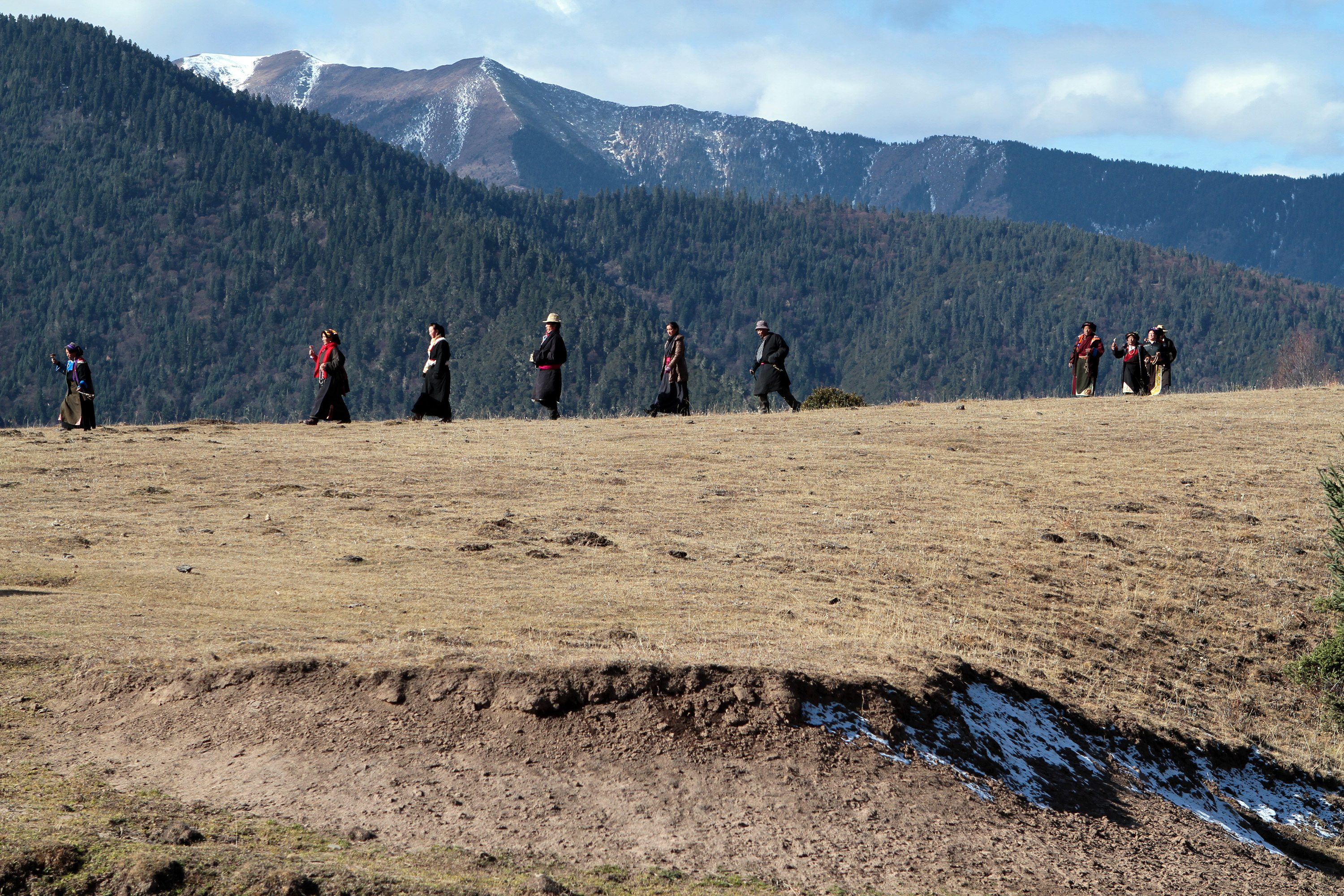 柠檬剧照的剧照