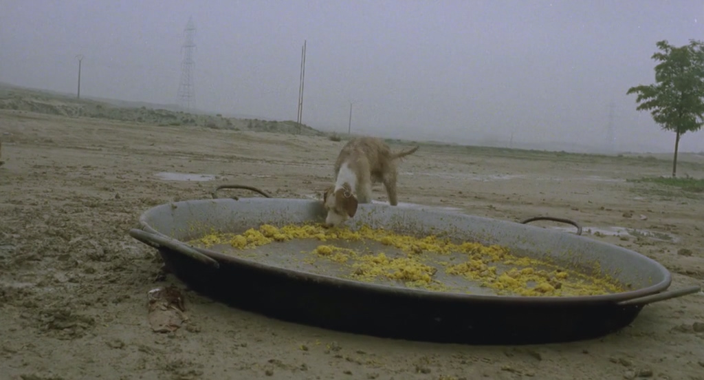 火腿，火腿剧照的剧照