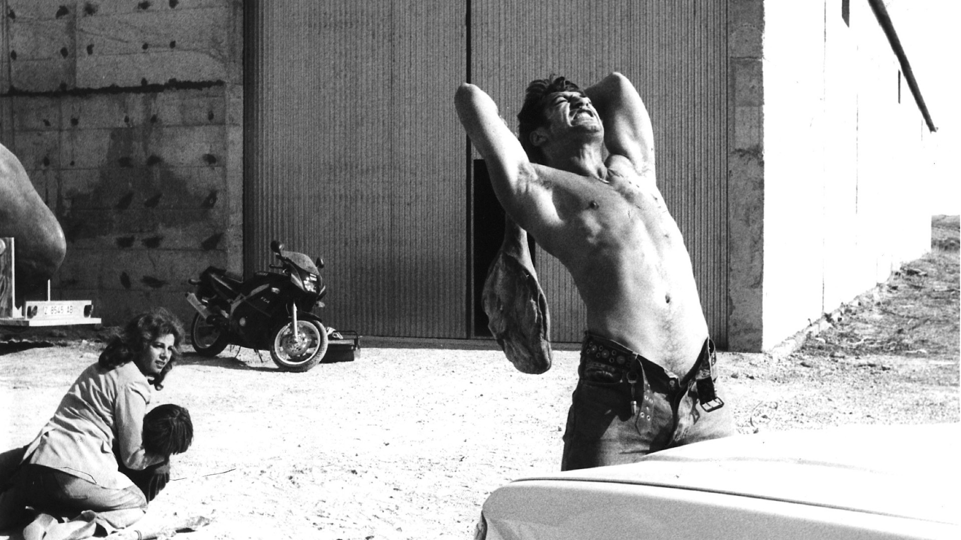 火腿，火腿剧照的剧照