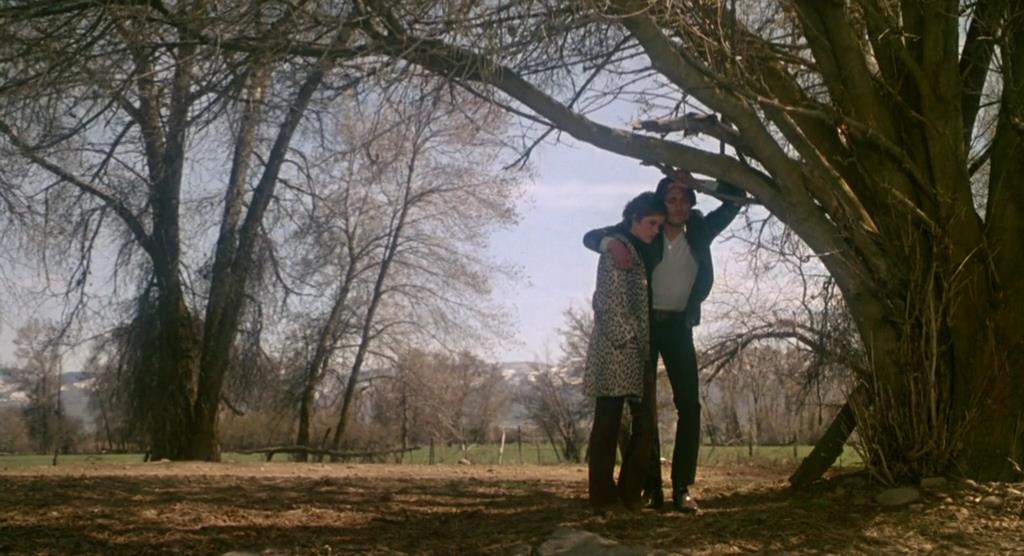 痞子大逃亡剧照的剧照