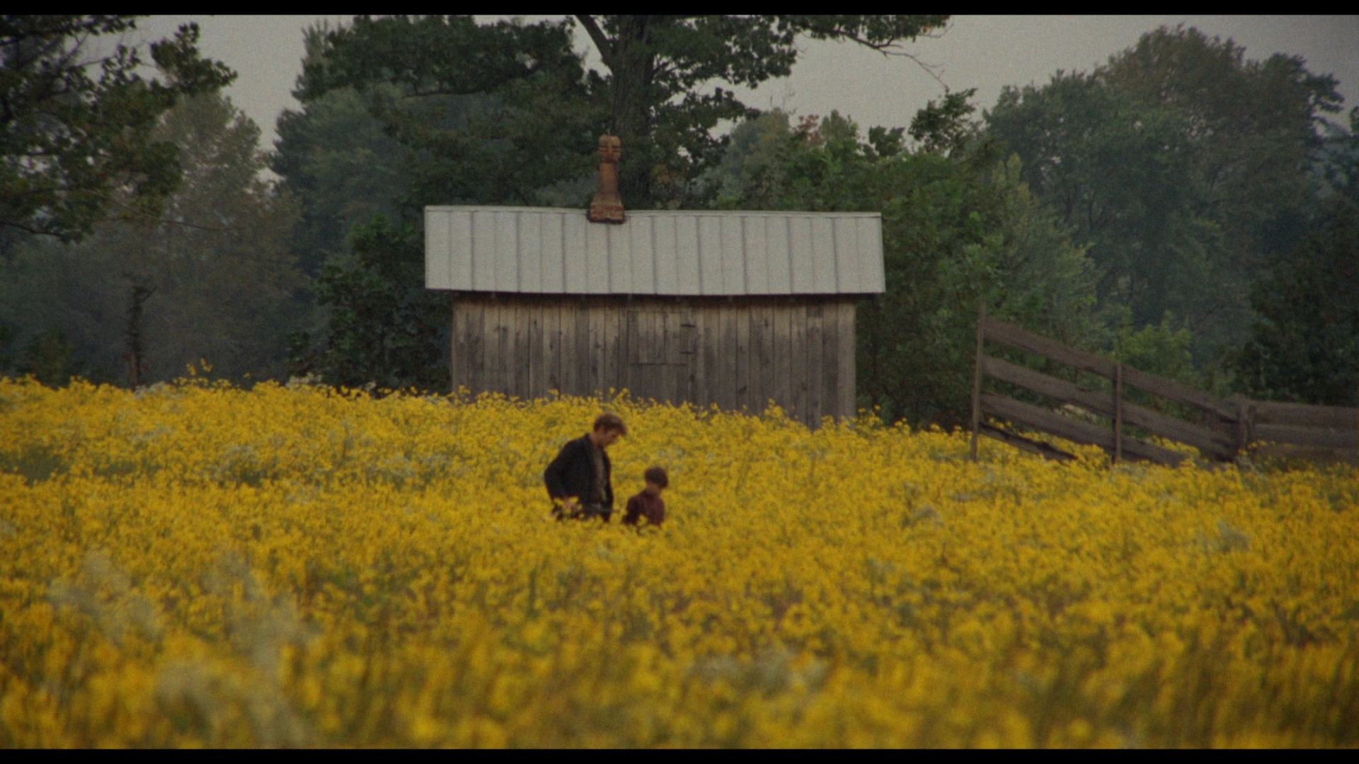 冷酷媒体剧照的剧照
