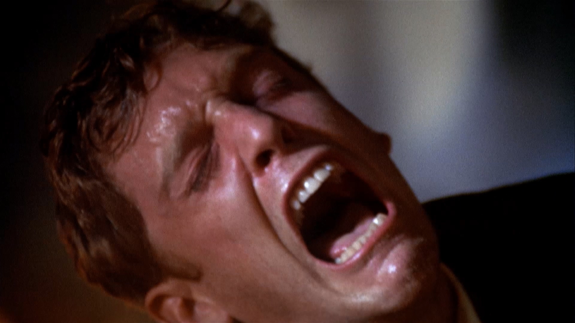 淑女荡妇情人剧照的剧照