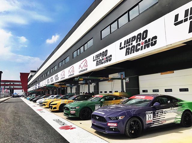 叱咤风云剧照的剧照