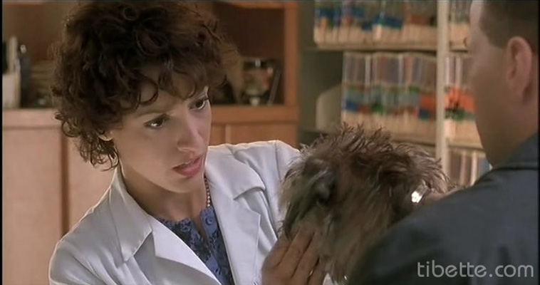 异想天开剧照的剧照