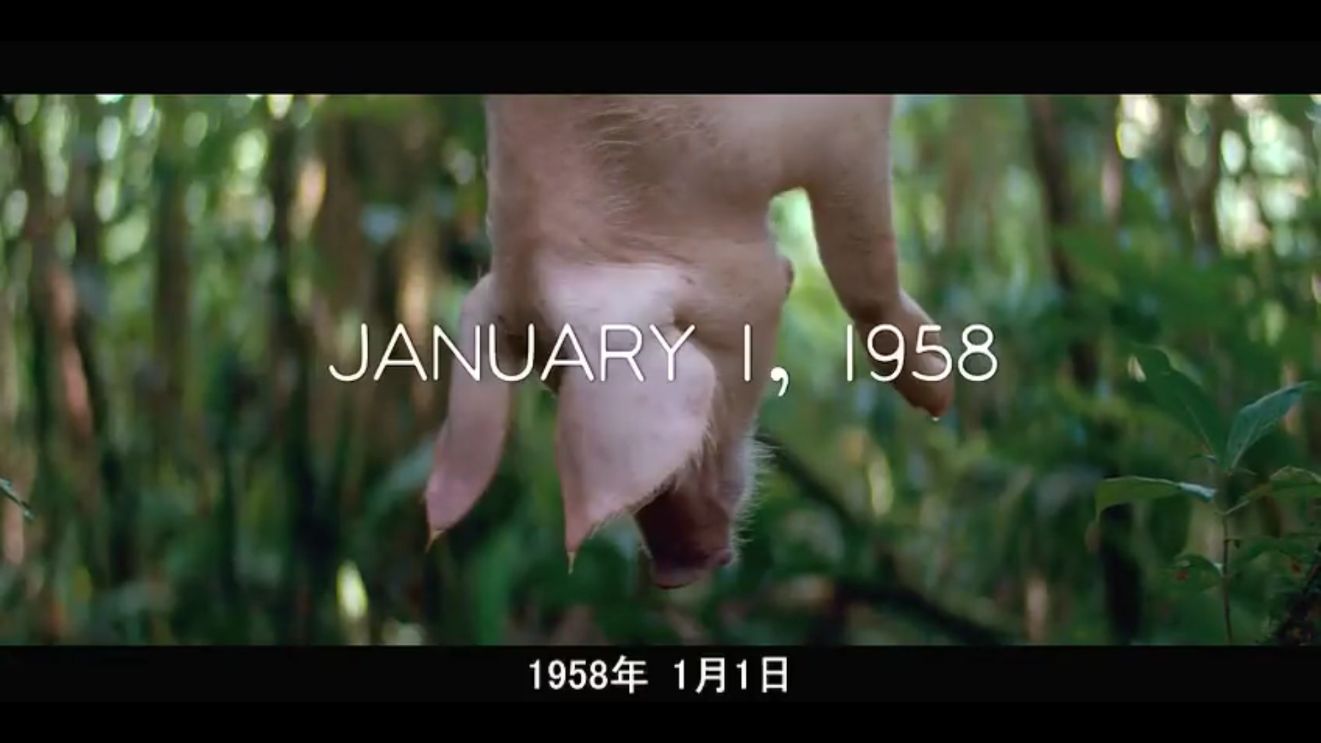 切·格瓦拉传：阿根廷人剧照的剧照