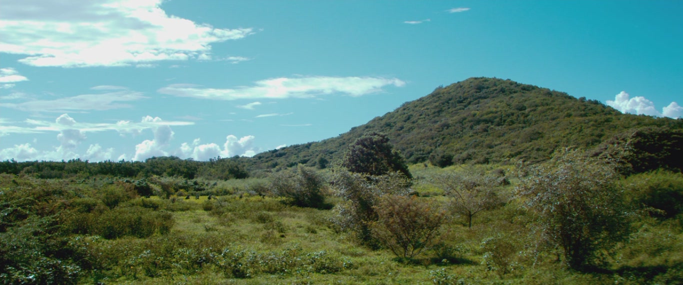 切·格瓦拉传：阿根廷人剧照的剧照