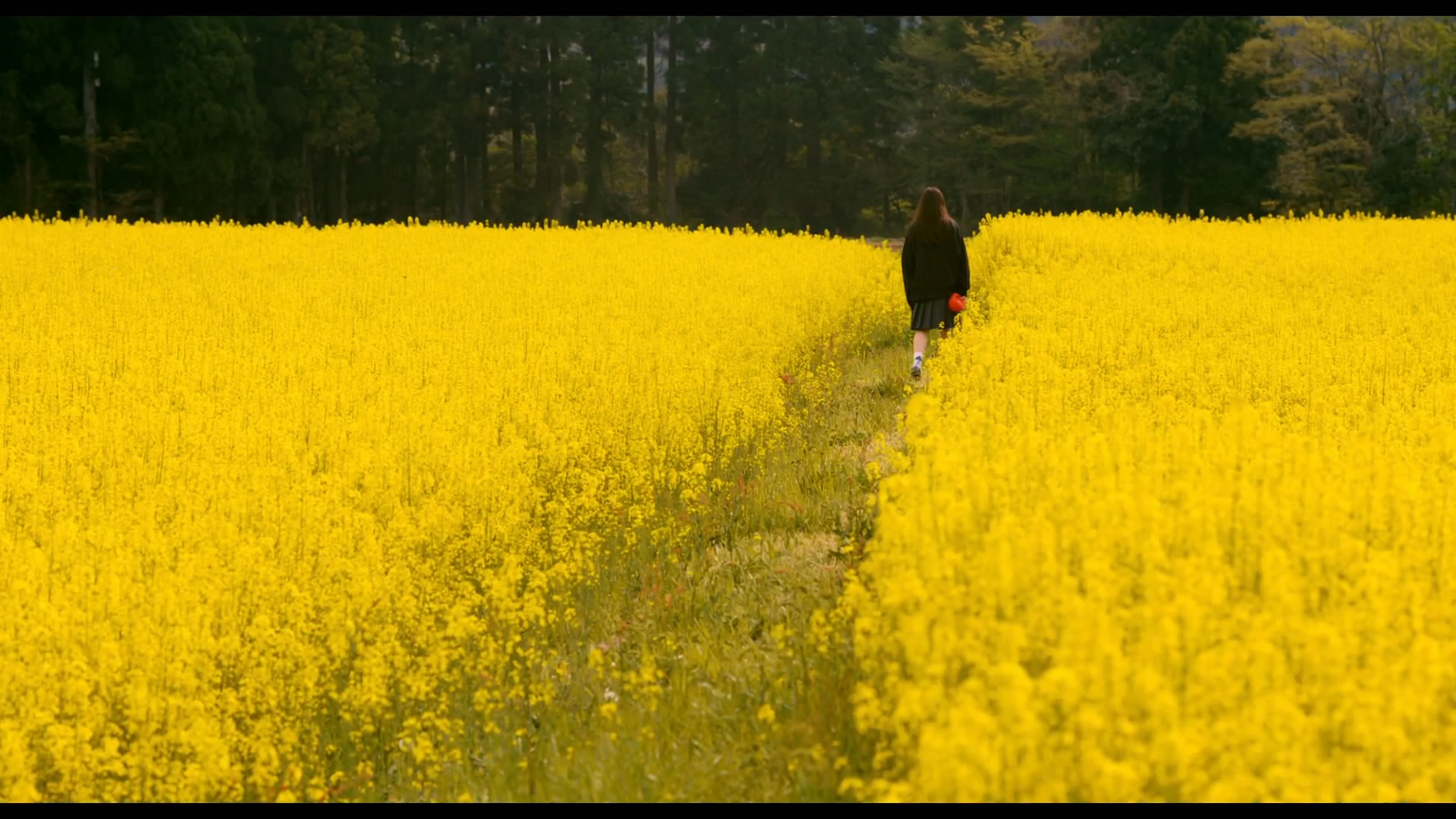 风的电话剧照的剧照