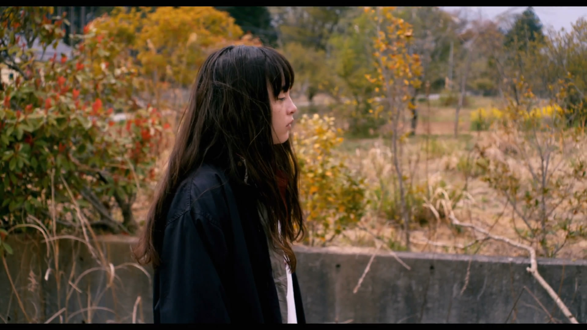 风的电话剧照的剧照