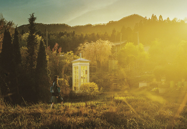 风的电话剧照的剧照