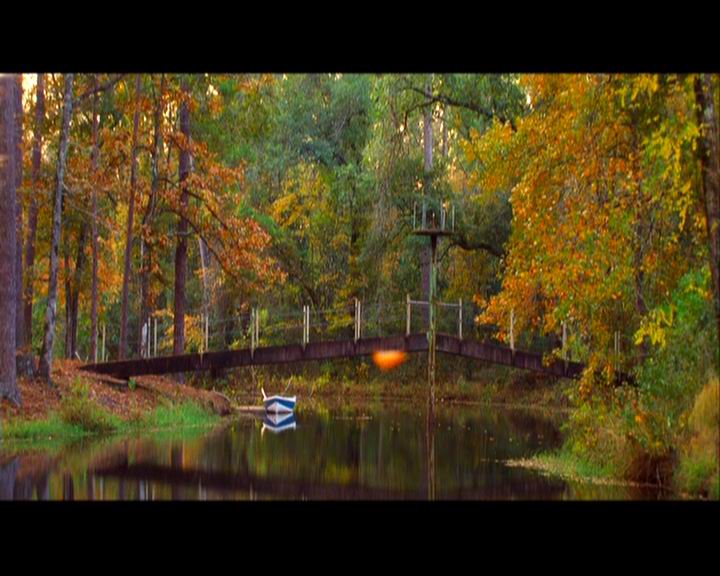 幸运符剧照的剧照