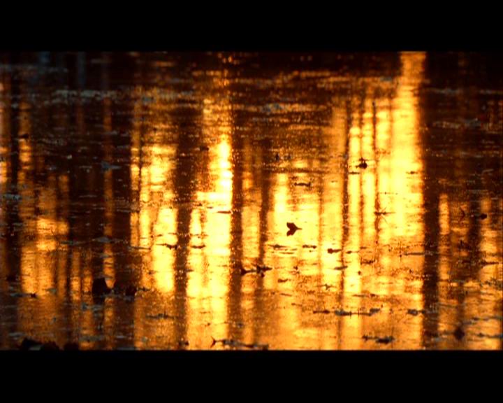 幸运符剧照的剧照