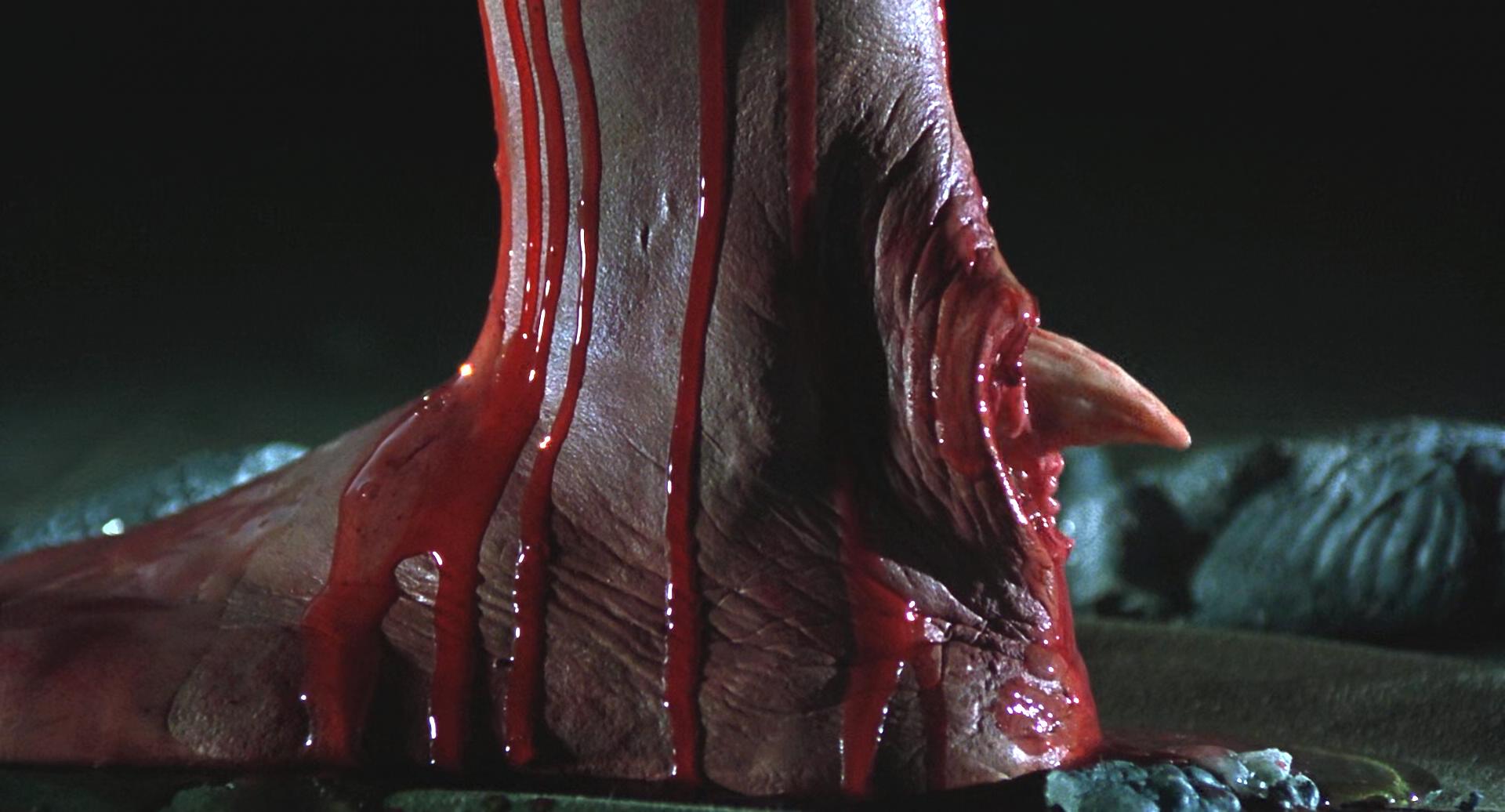 妖夜传说剧照的剧照