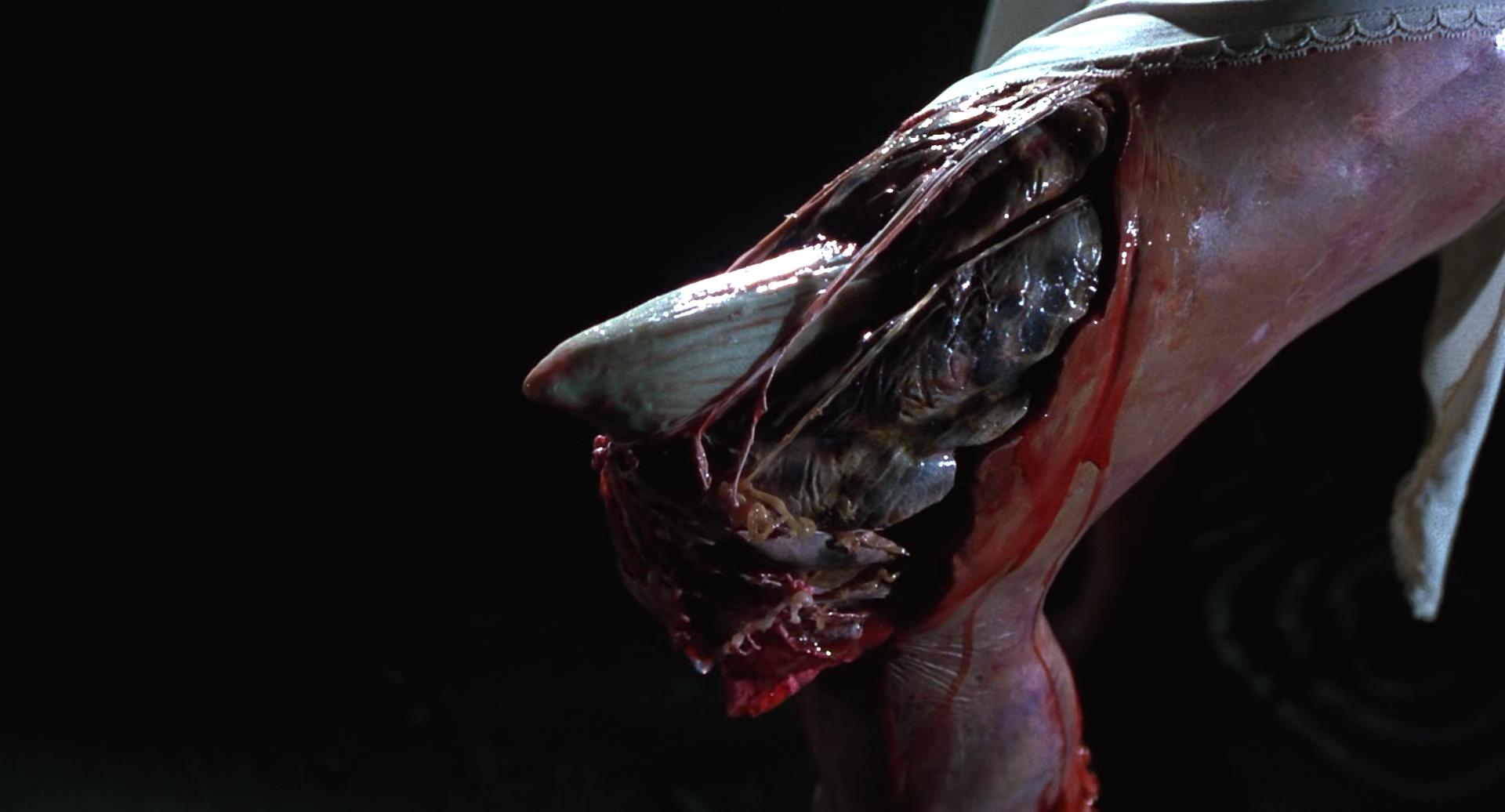 妖夜传说剧照的剧照