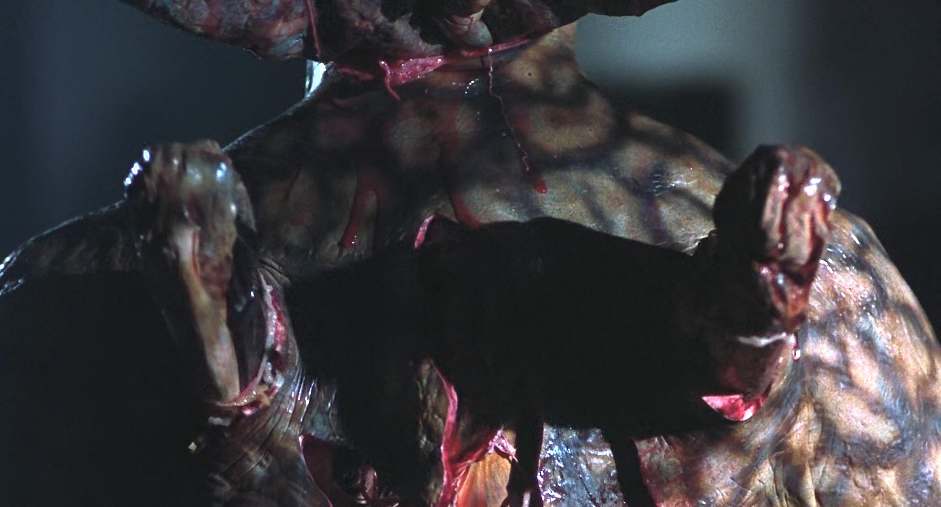 妖夜传说剧照的剧照