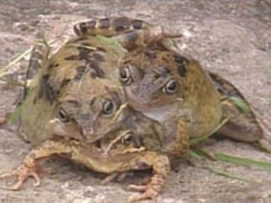 三里岛核事故剧照的剧照