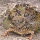 三里岛核事故剧照