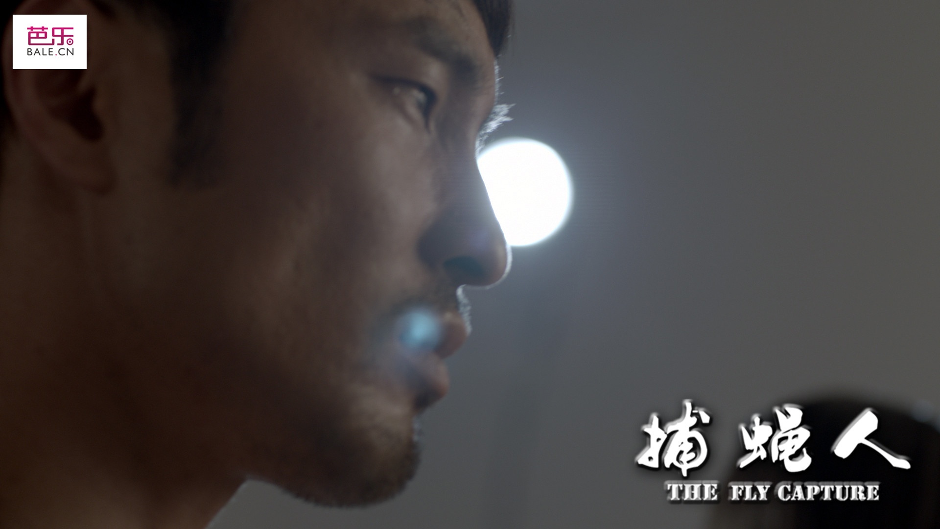 捕蝇人剧照的剧照