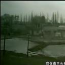 龙的深处―失落的拼图剧照