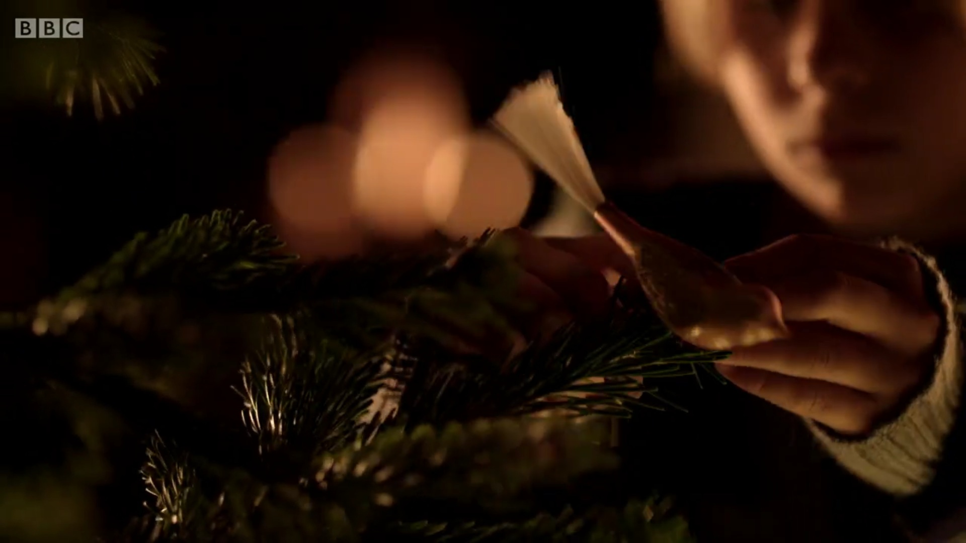 小冷杉树剧照的剧照