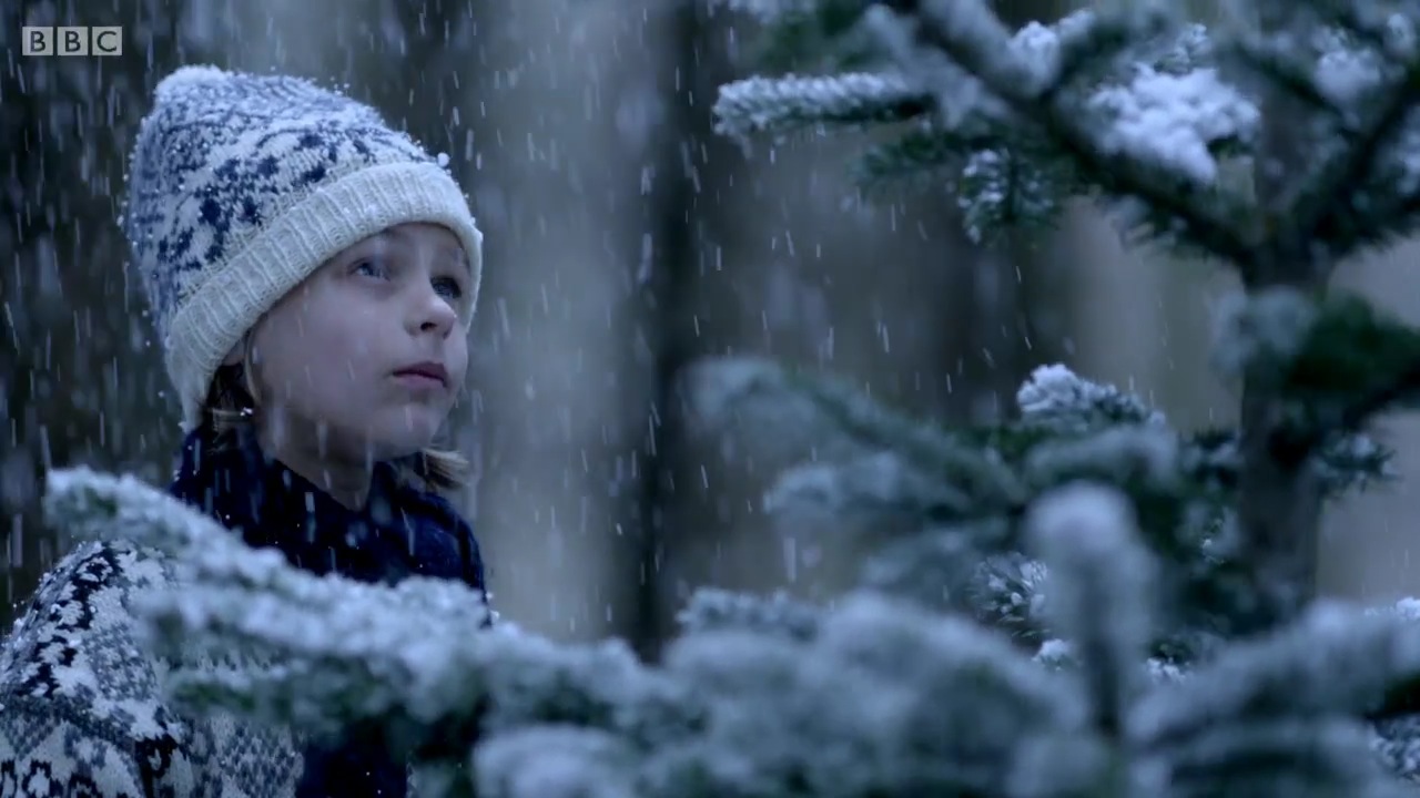 小冷杉树剧照的剧照