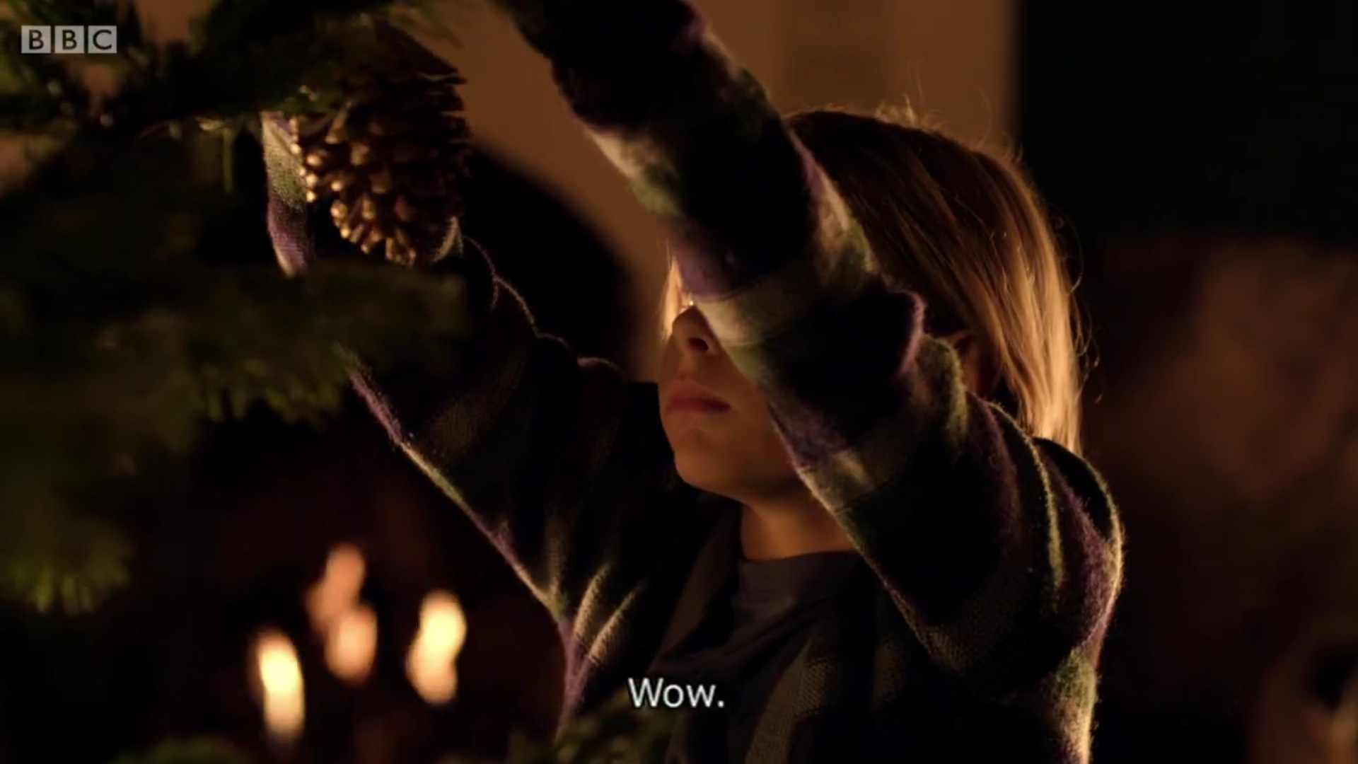 小冷杉树剧照的剧照