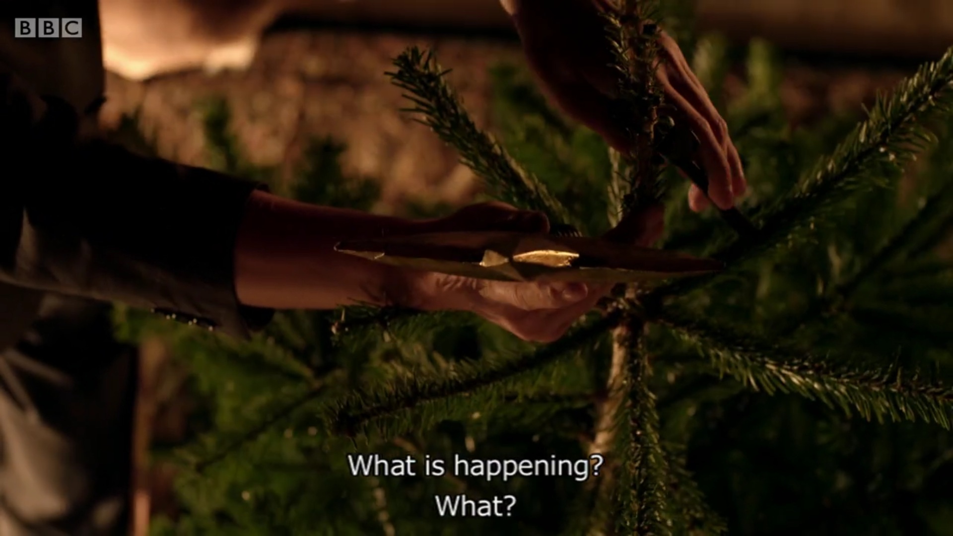 小冷杉树剧照的剧照