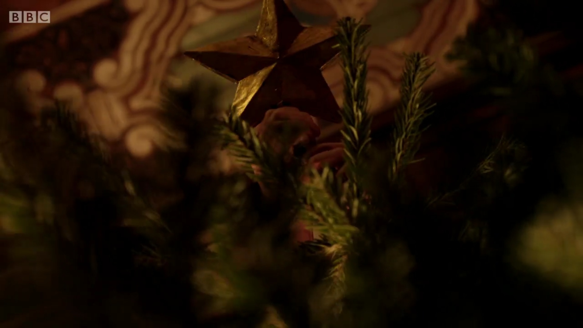 小冷杉树剧照的剧照