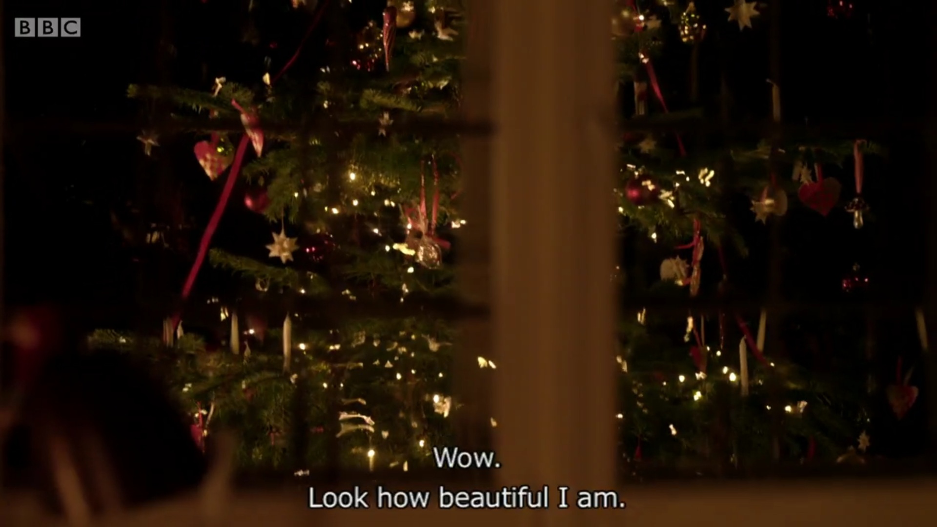 小冷杉树剧照的剧照