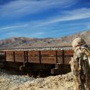 最后的幸存者剧照