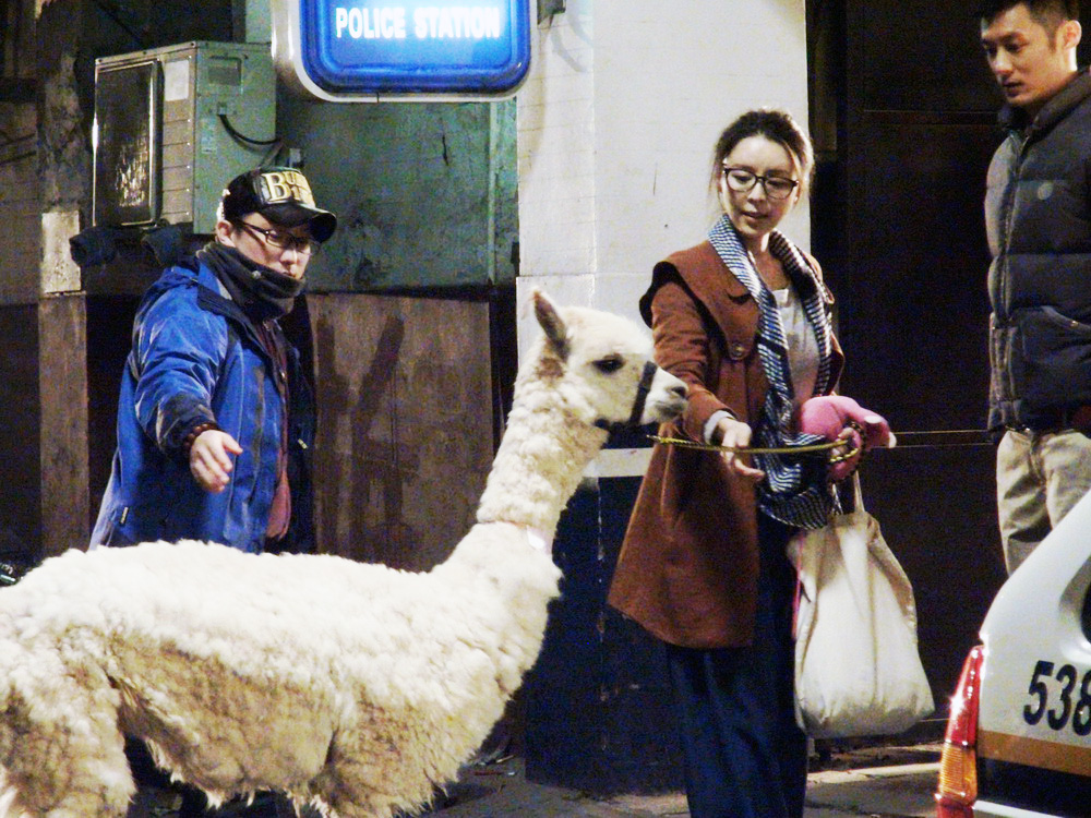 醉后一夜剧照的剧照