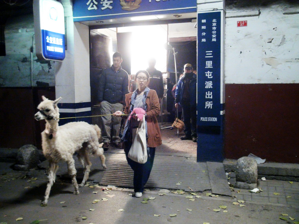 醉后一夜剧照的剧照