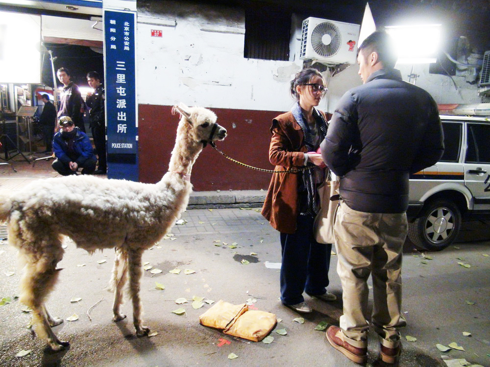 醉后一夜剧照的剧照