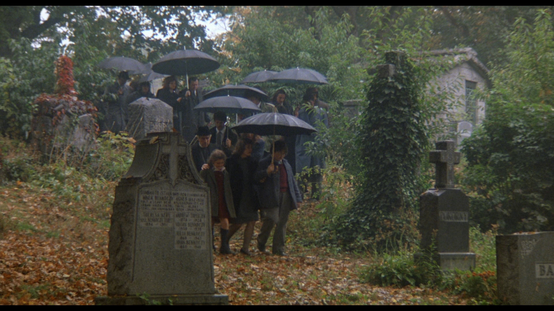 异世浮生剧照的剧照