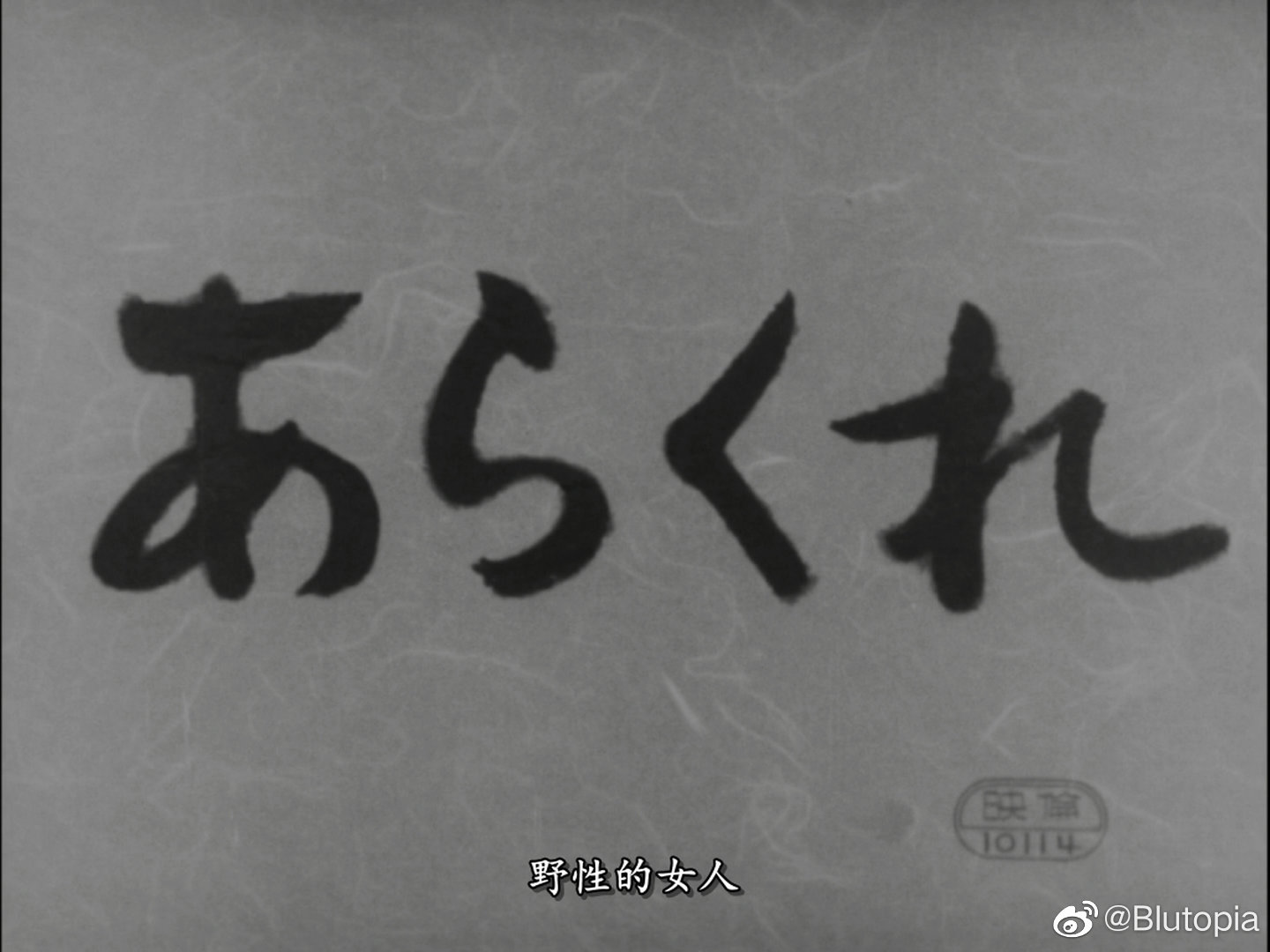 野性的女人剧照的剧照