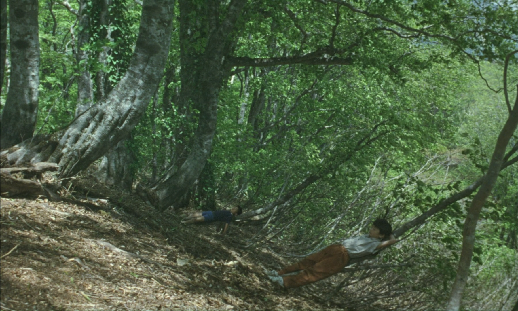 沉睡的男人剧照的剧照