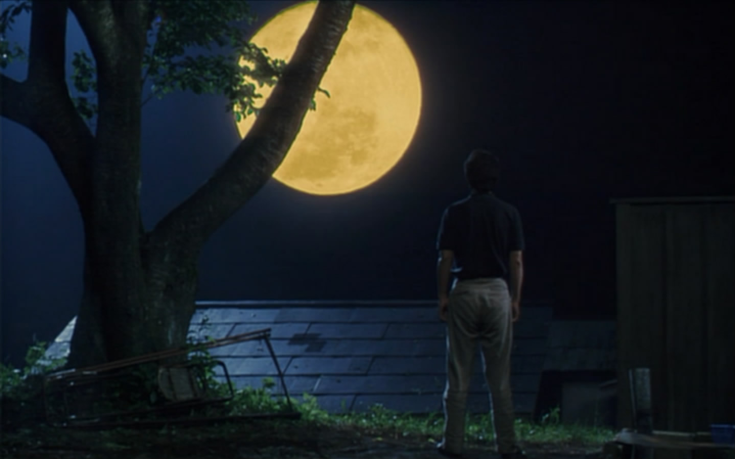 沉睡的男人剧照的剧照