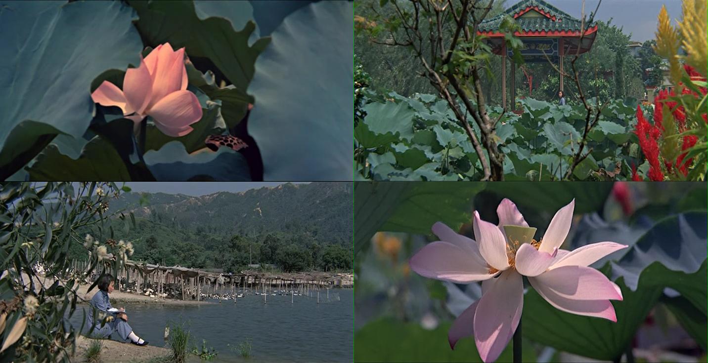 新啼笑因缘剧照的剧照