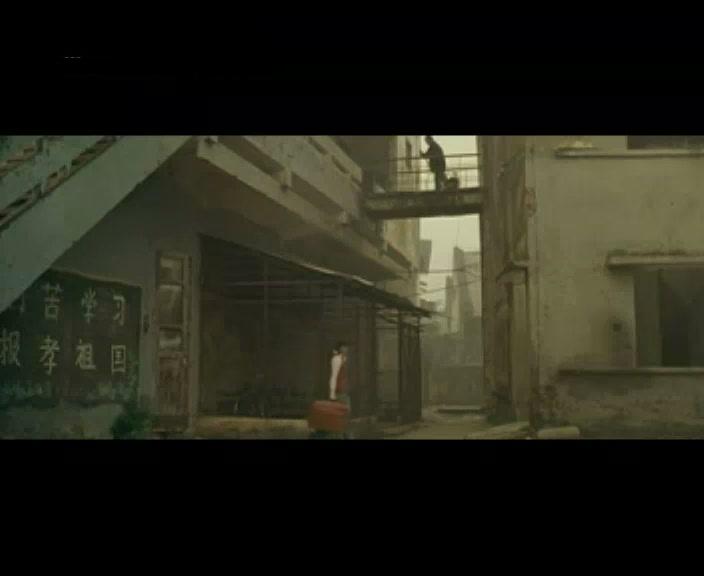 植物学家的中国女孩剧照的剧照