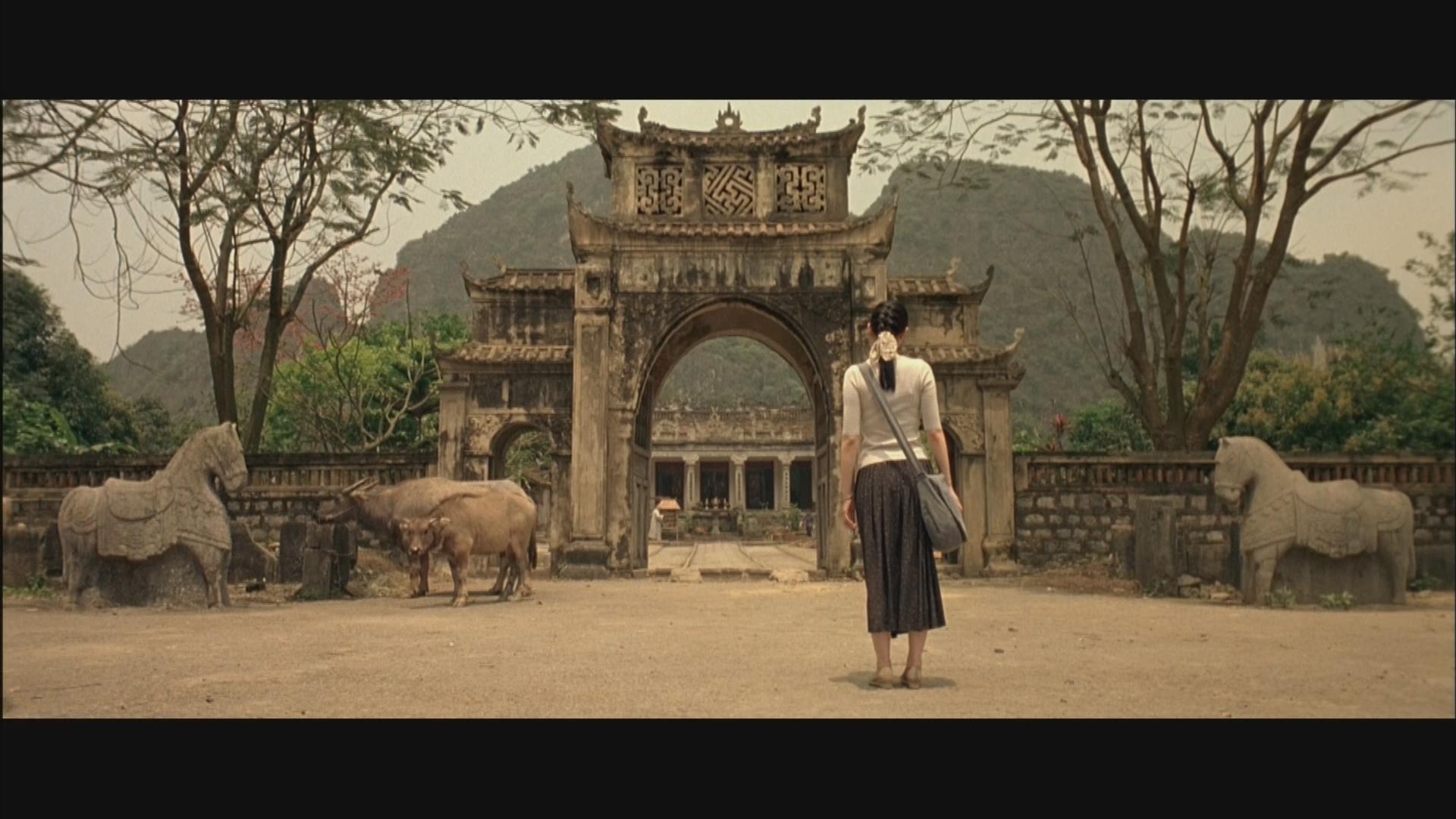 植物学家的中国女孩剧照的剧照