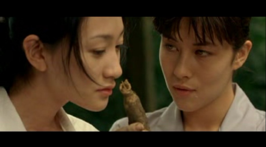 植物学家的中国女孩剧照的剧照