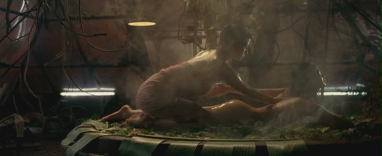 植物学家的中国女孩剧照的剧照