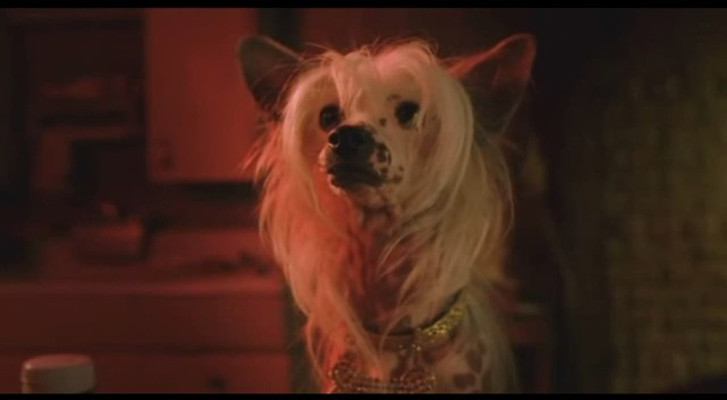 纽约时刻剧照的剧照