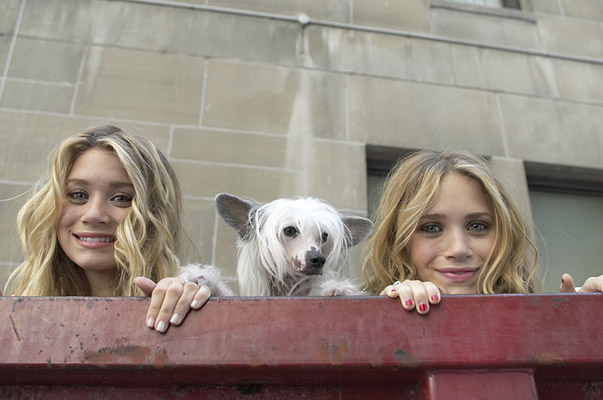 纽约时刻剧照的剧照