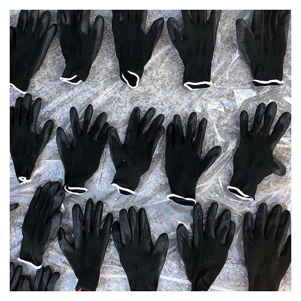 永恒美人剧照的剧照