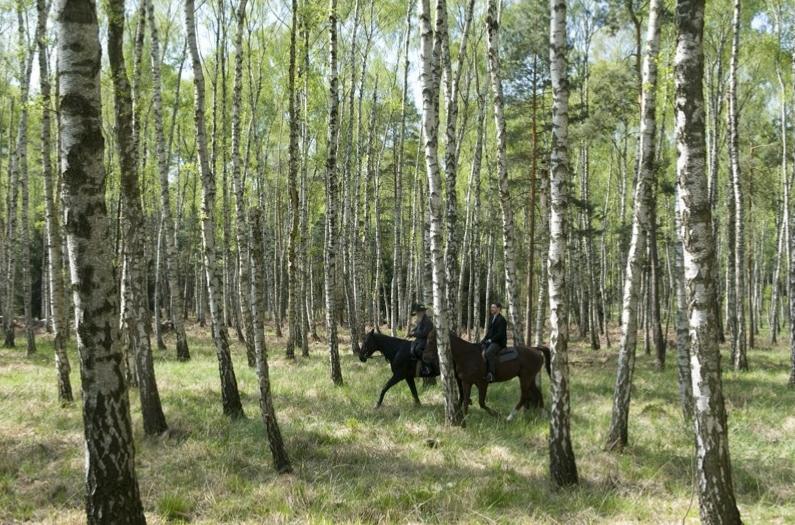 最后一站剧照的剧照