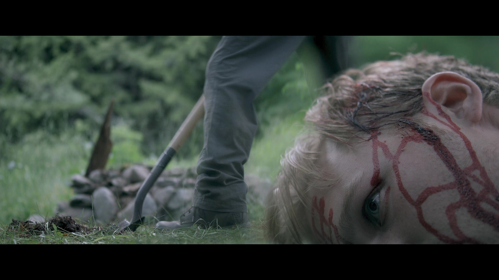 吾辈本如斯剧照的剧照