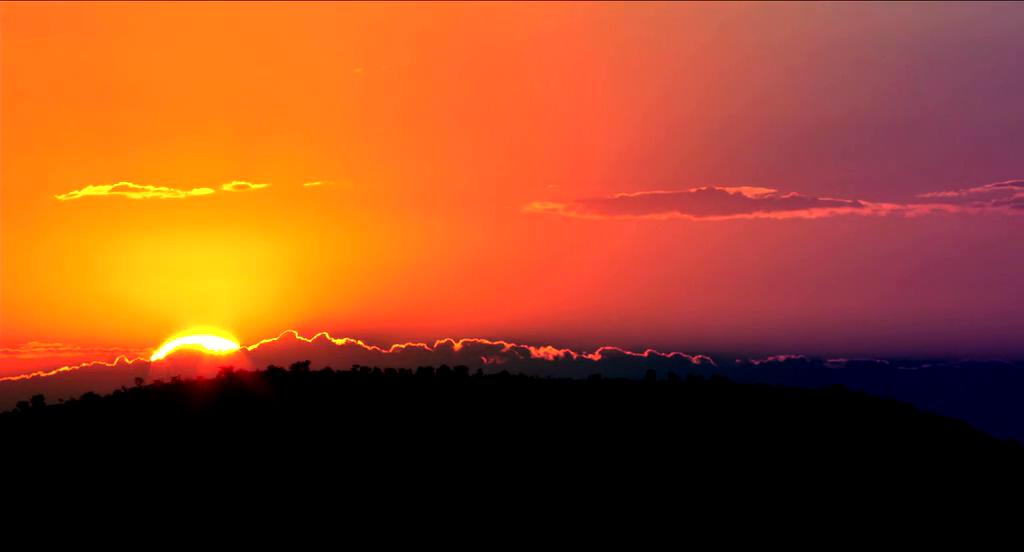 单亲度假村剧照的剧照