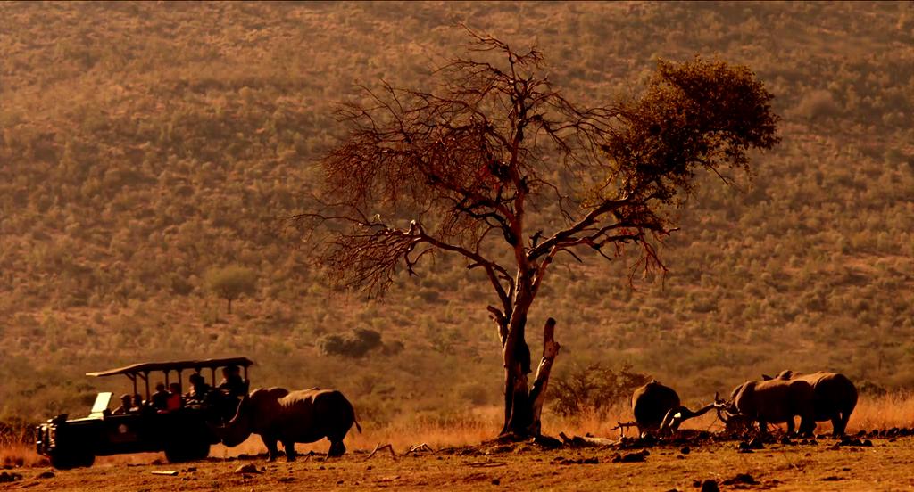 单亲度假村剧照的剧照